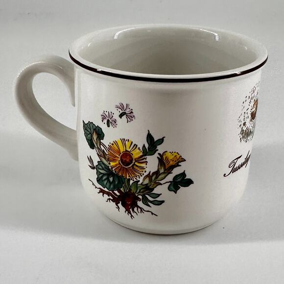 1 mug Villeroy & Boch Botanica Teacup Coffee Mugs Tussilago Farfara - Picture 4 of 6